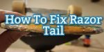 how to fix razor tail