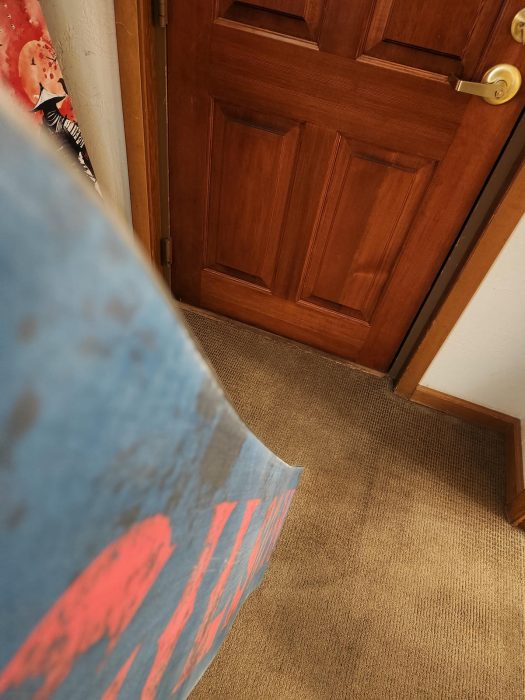 20250128 063220Gilson Undead