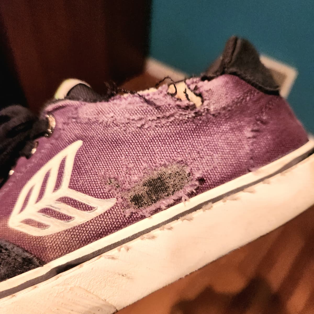 Cariuma Naioca Pro Skate Shoes Review Board of the World