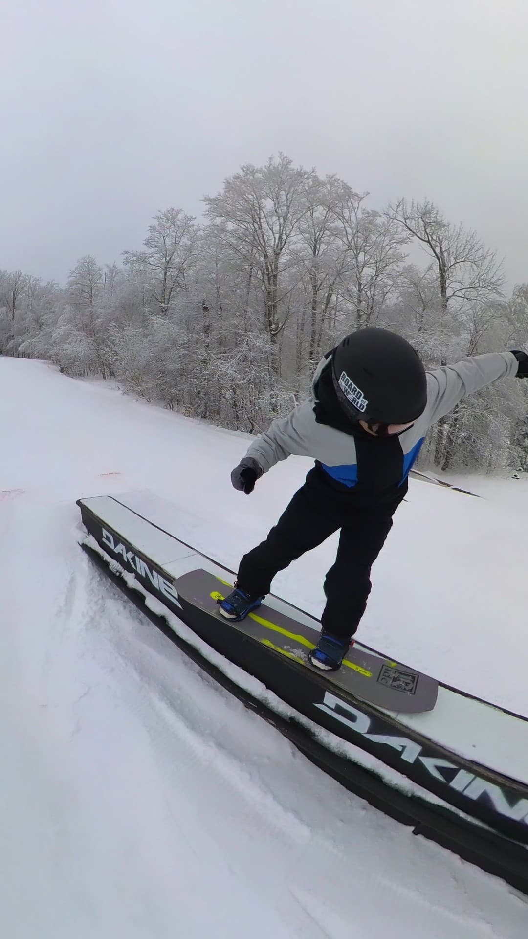 The Ride Warpig Snowboard Review Board of the World