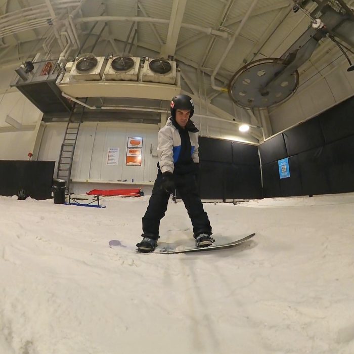 torsional flex rome service dog 2026