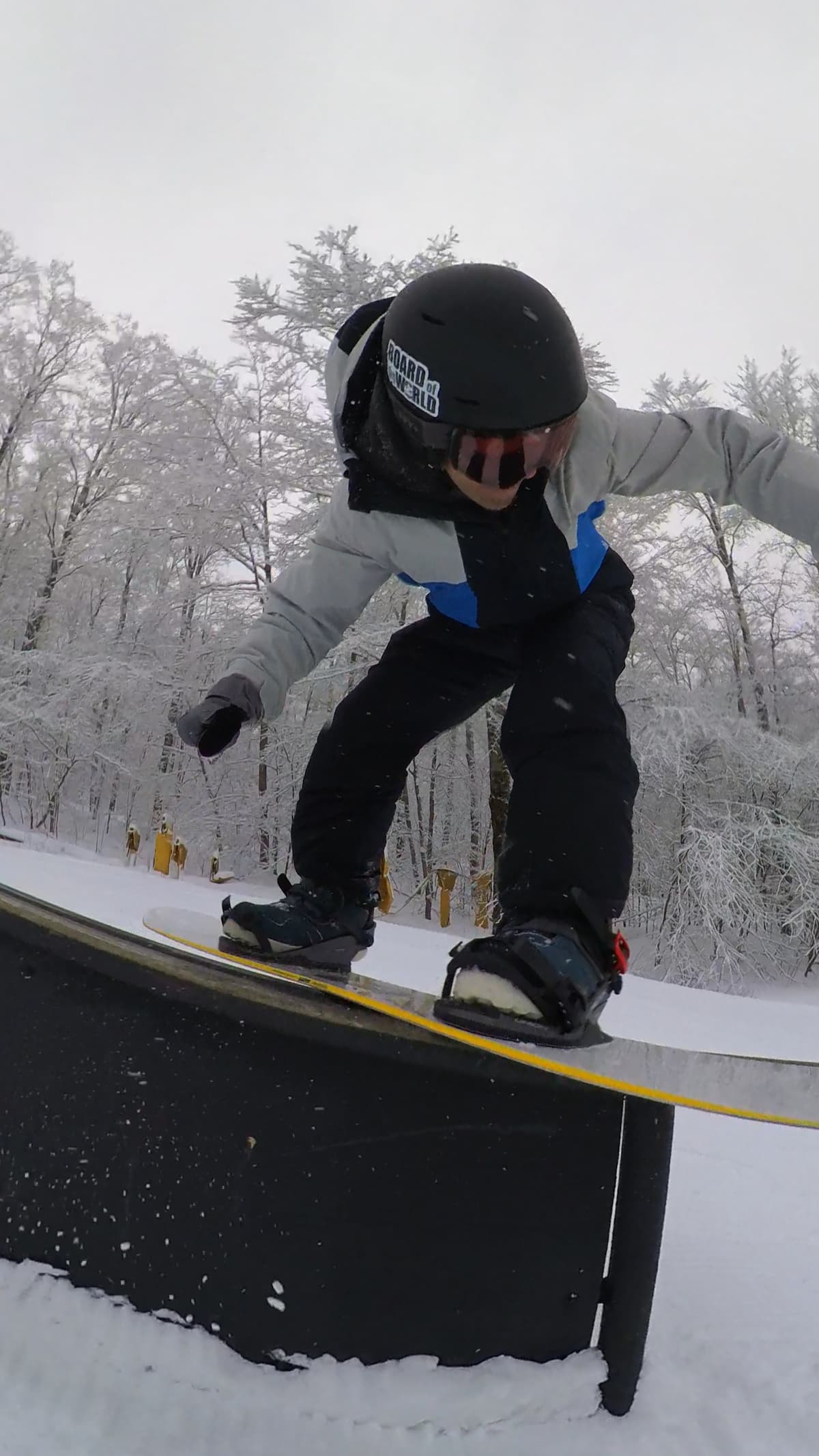 2025 Union Falcor Bindings Review: Upgrade or Skip? 9 Steve Front Board on Resort Twin with New Falcor