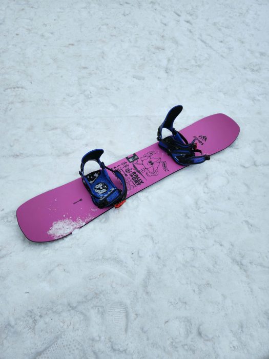 Jones Rally Cat Review: Is It Too Playful to Rip the Whole Resort? 5 20240130 105609