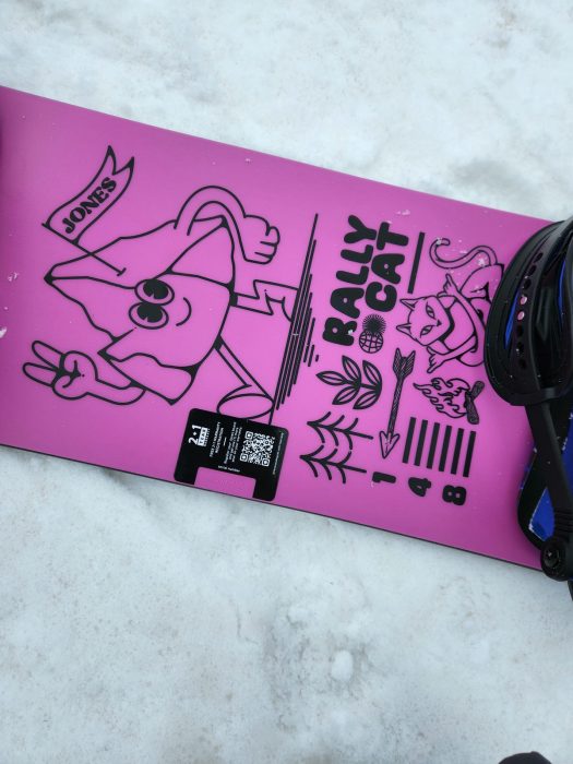 Jones Rally Cat Review: Is It Too Playful to Rip the Whole Resort? 6 20240130 105619