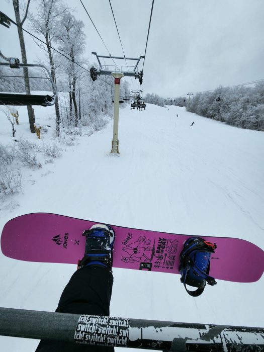 Jones Rally Cat Review: Is It Too Playful to Rip the Whole Resort? 8 20240130 105948