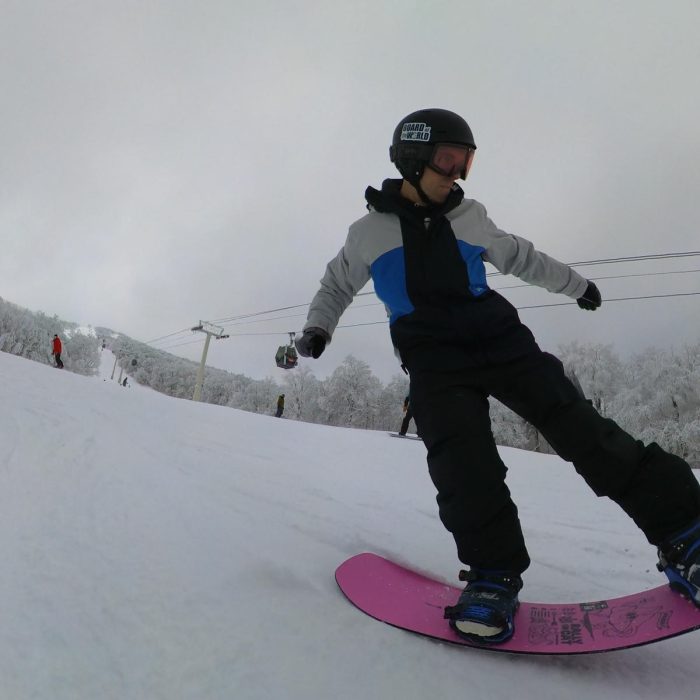 Jones Rally Cat Review: Is It Too Playful to Rip the Whole Resort? 15 Tail pressing the Jones Rally Cat