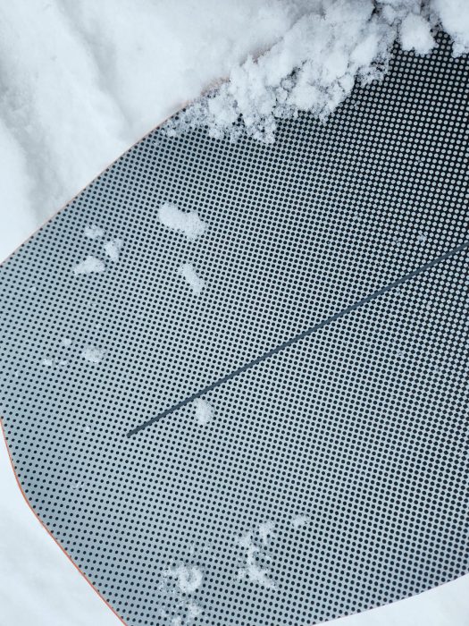 Showing the shape of the tail