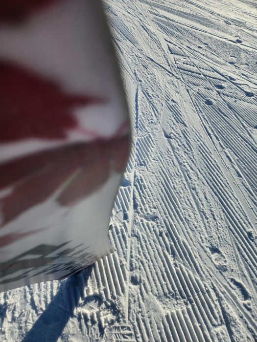 20250129 084900Gilson Bounty Hunter