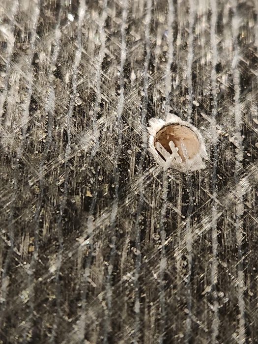 Impact Skateboards XPU Deck Review 35 Closeup of Fiberglass