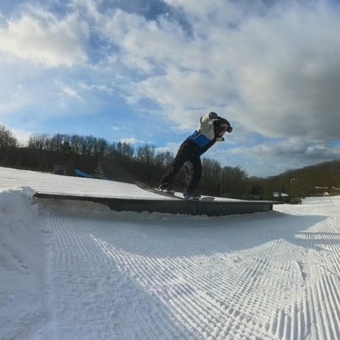 Never Summer Llama Vertical Screenshot