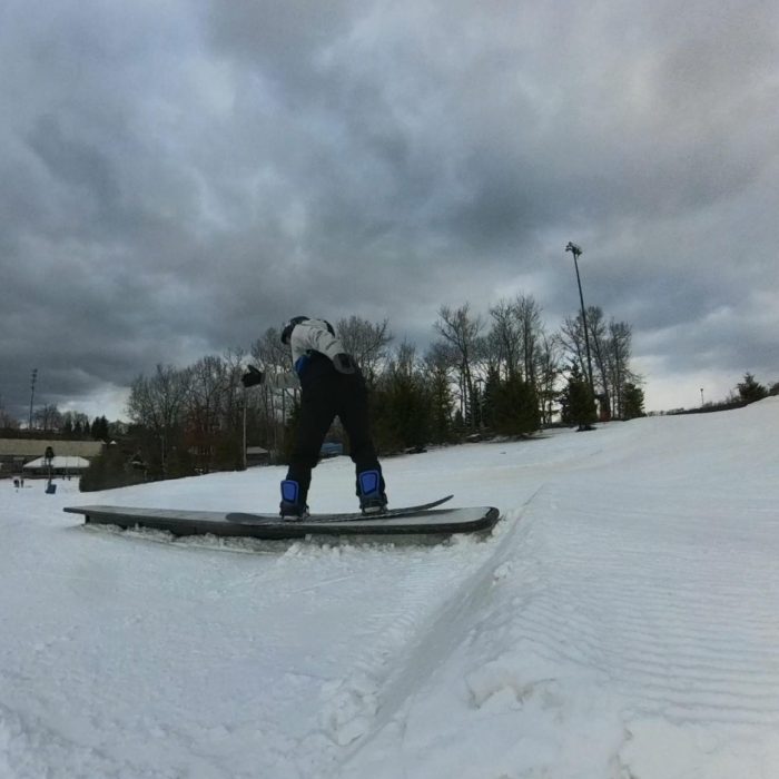 Never Summer Llama Vertical Screenshot1