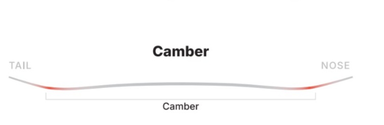 camber diagram of Nidecker Tape Deck